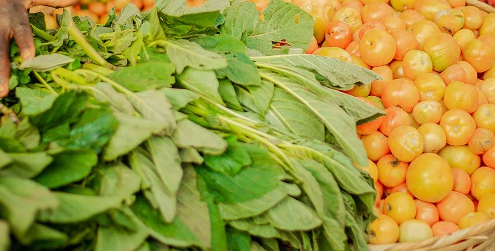 Organic farms avoid toxic inputs, improve soil health, grow clean, sustainable food that supports nature.
