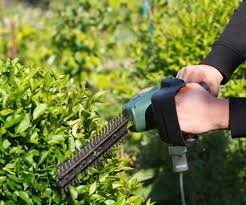 Power Weeder